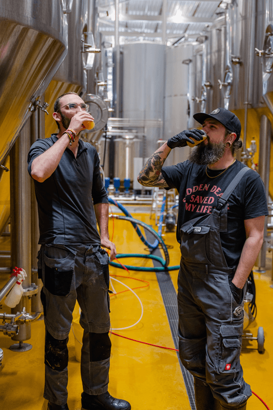 Brouwers Frontaal Brewing Company